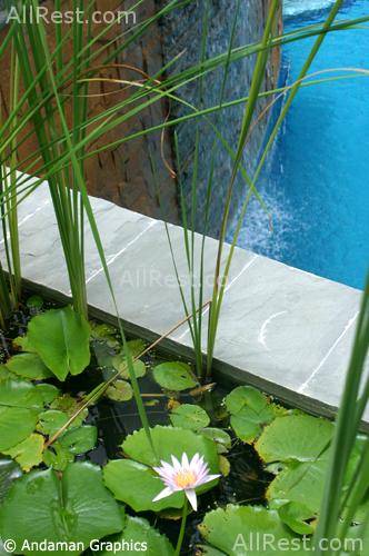 The Aspasia Phuket Resort 34